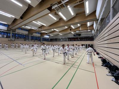 WL_05